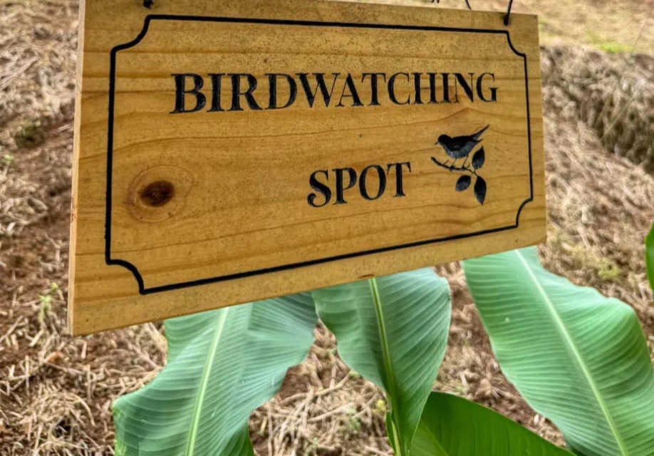 Wooden birdwatching spot sign hanging in the garden