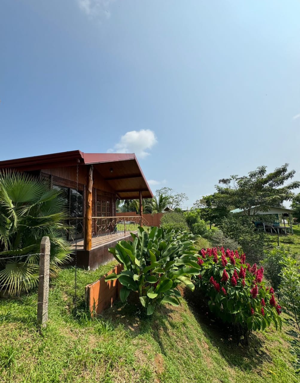 Cabin porch above a tropical garden with red ginger flowers