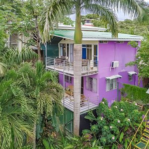 Peace of Paradise - Vara Blanca, Costa Rica