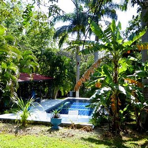 The Orchid Tree B&B Costa Rica - Grecia, Costa Rica