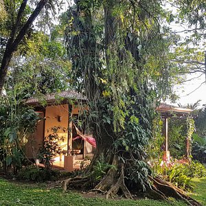 Hotel Tacacori Ecolodge - Alajuela, Costa Rica