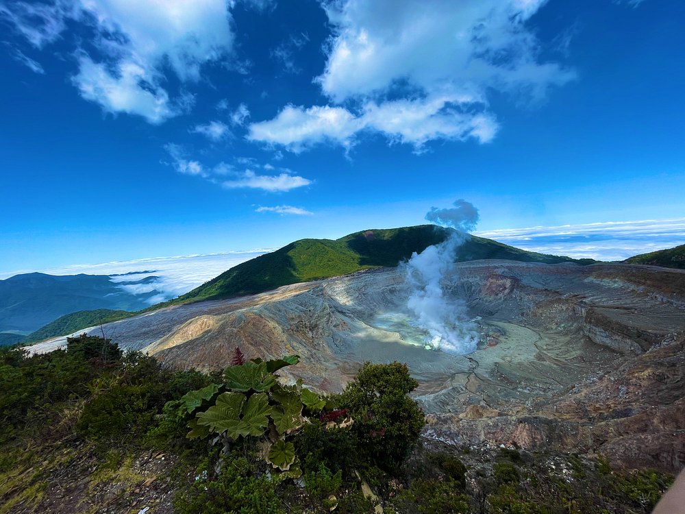 Poás Volcano crater with active geothermal features and surrounding cloud forest